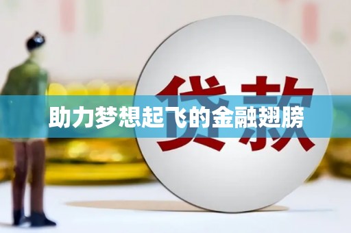 柳东助力梦想起飞的金融翅膀