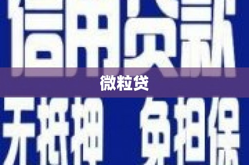 柳东微粒贷
