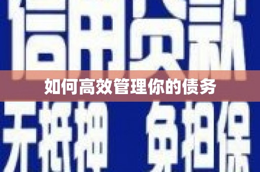 柳东如何高效管理你的债务