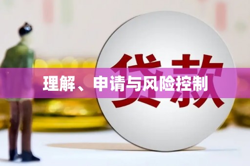 柳东理解、申请与风险控制