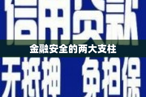 柳东金融安全的两大支柱