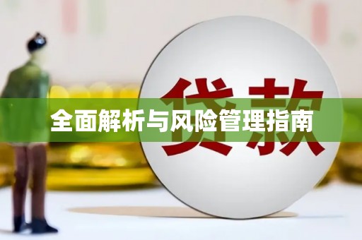 柳东全面解析与风险管理指南