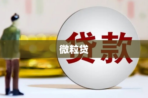 柳东微粒贷