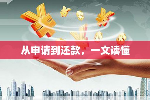 柳东从申请到还款，一文读懂