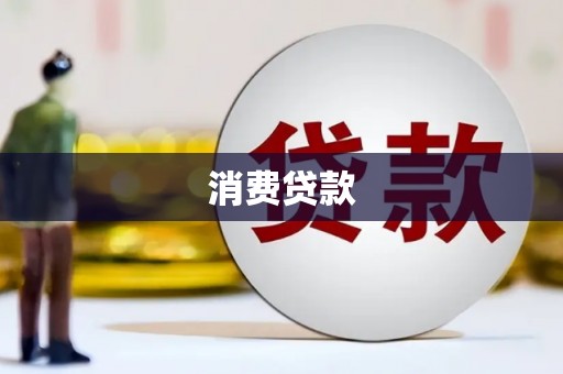 柳东消费贷款