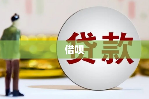 柳东借呗