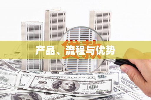 柳东产品、流程与优势