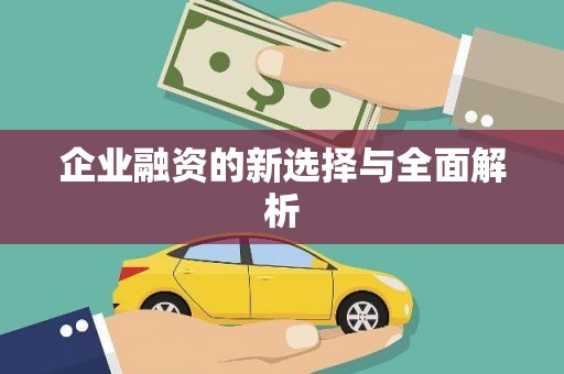 柳东企业融资的新选择与全面解析