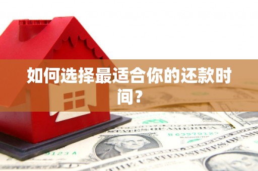柳东如何选择最适合你的还款时间？