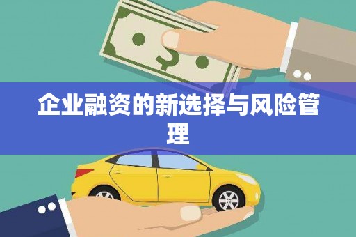 柳东企业融资的新选择与风险管理