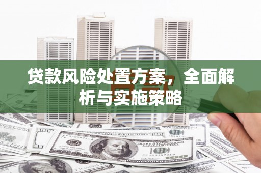柳东贷款风险处置方案，全面解析与实施策略