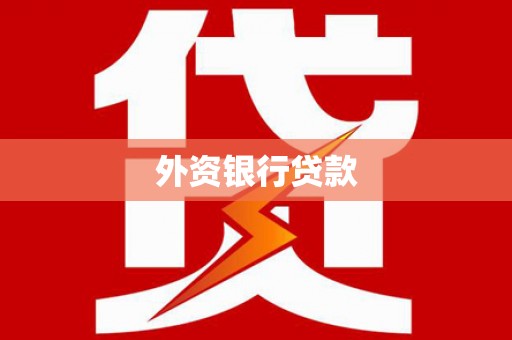 柳东外资银行贷款