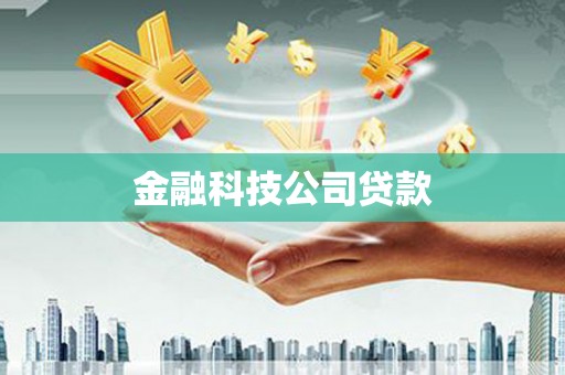 柳东金融科技公司贷款