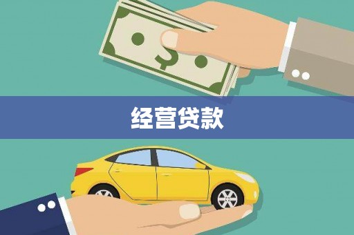 柳东经营贷款