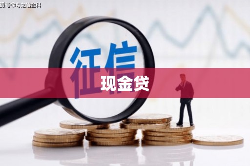 柳东现金贷