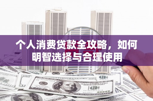 柳东个人消费贷款全攻略，如何明智选择与合理使用