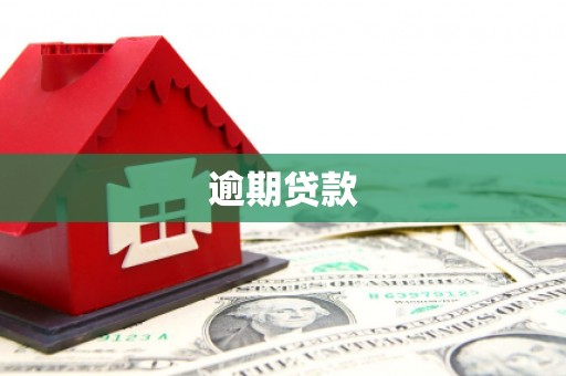 柳东逾期贷款