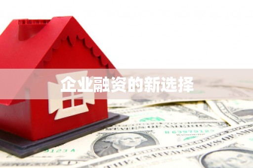 柳东企业融资的新选择