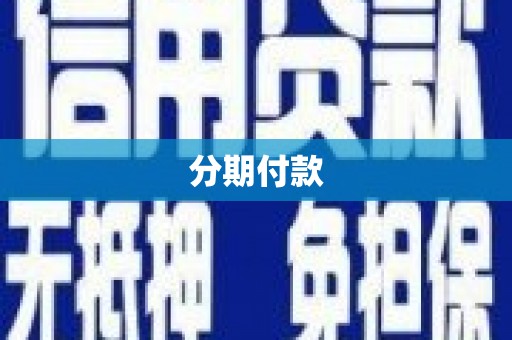 柳东分期付款