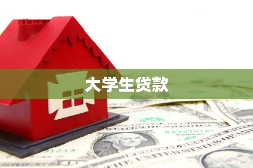 柳东大学生贷款