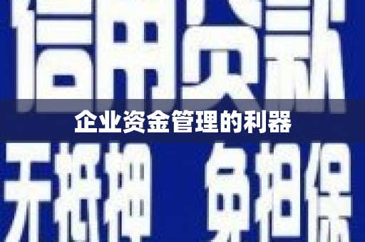 柳东企业资金管理的利器