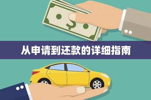 柳东从申请到还款的详细指南