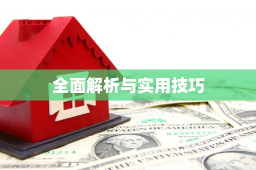 柳东全面解析与实用技巧