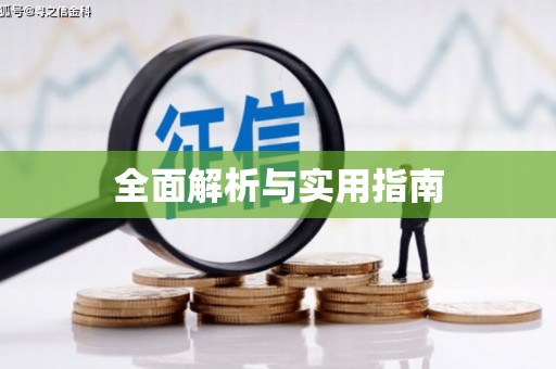 柳东全面解析与实用指南