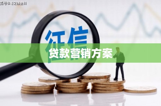 柳东贷款营销方案