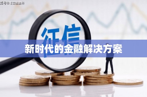柳东新时代的金融解决方案