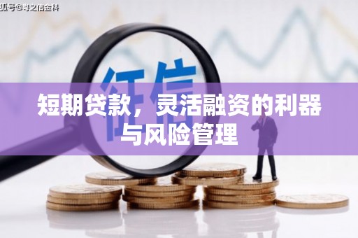 柳东短期贷款，灵活融资的利器与风险管理