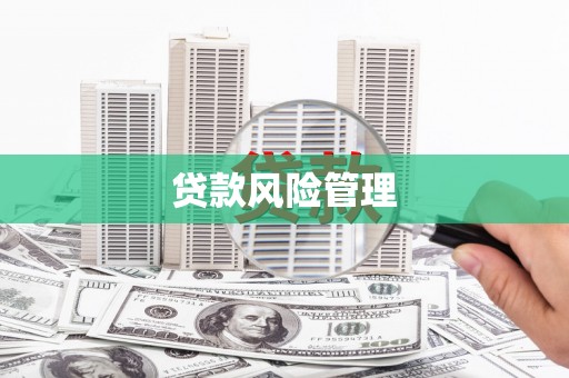 柳东贷款风险管理