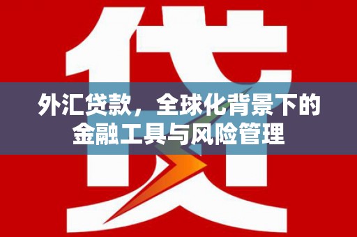 柳东外汇贷款，全球化背景下的金融工具与风险管理
