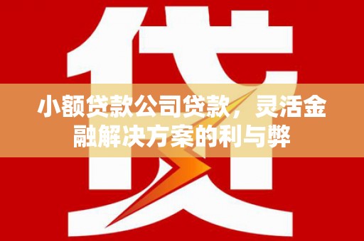 柳东小额贷款公司贷款，灵活金融解决方案的利与弊