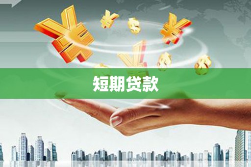 柳东短期贷款