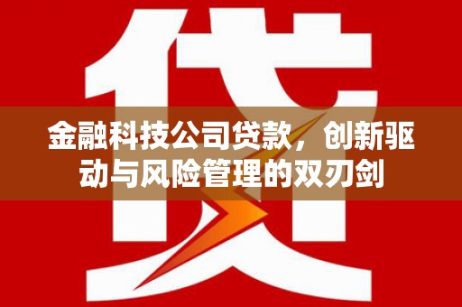 柳东金融科技公司贷款，创新驱动与风险管理的双刃剑