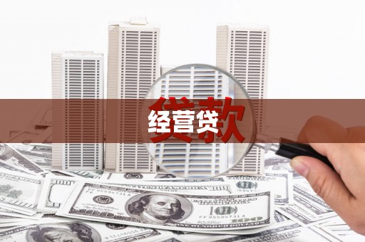 柳东经营贷